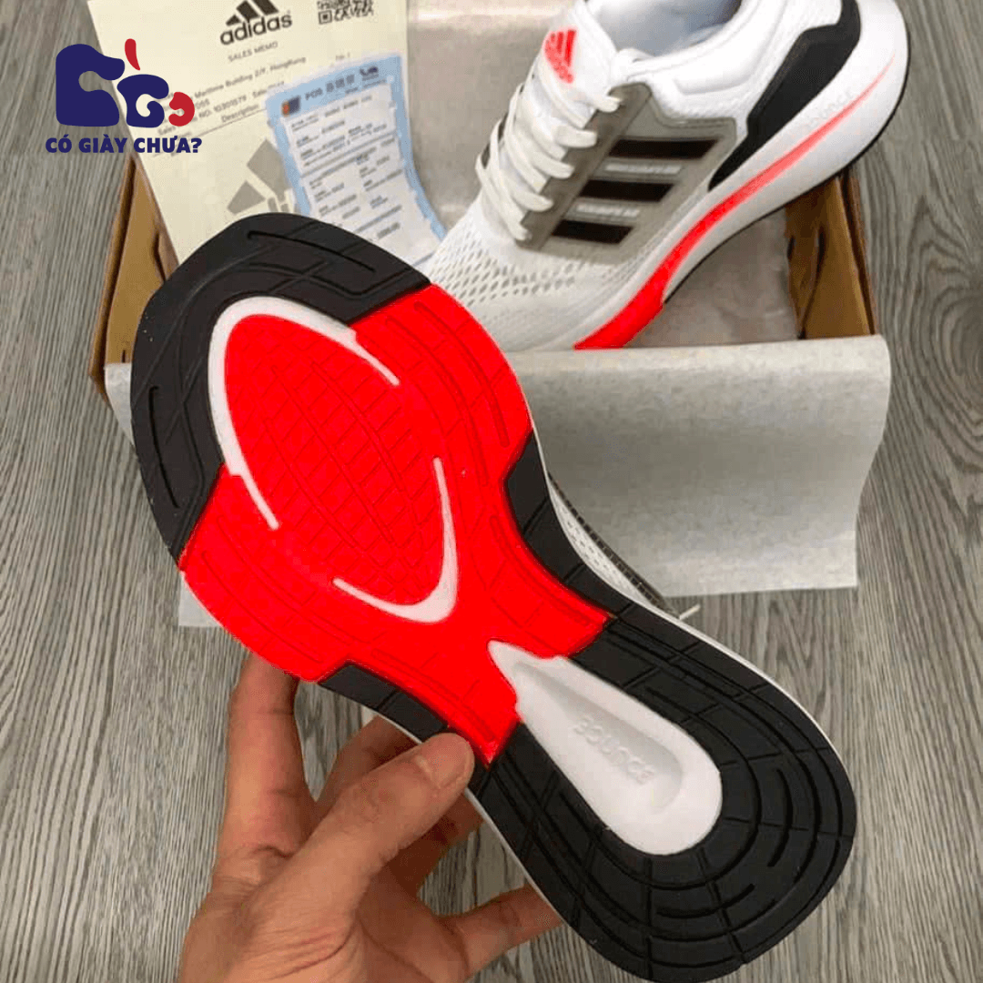 Giày Sport Giá Bao Nhiêu